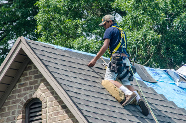 Best New Roof Installation  in Clyde, NC